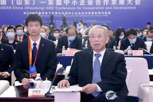 中国山东-东盟中小企业合作发展大会在济开幕，推动软件应用深化经贸合作